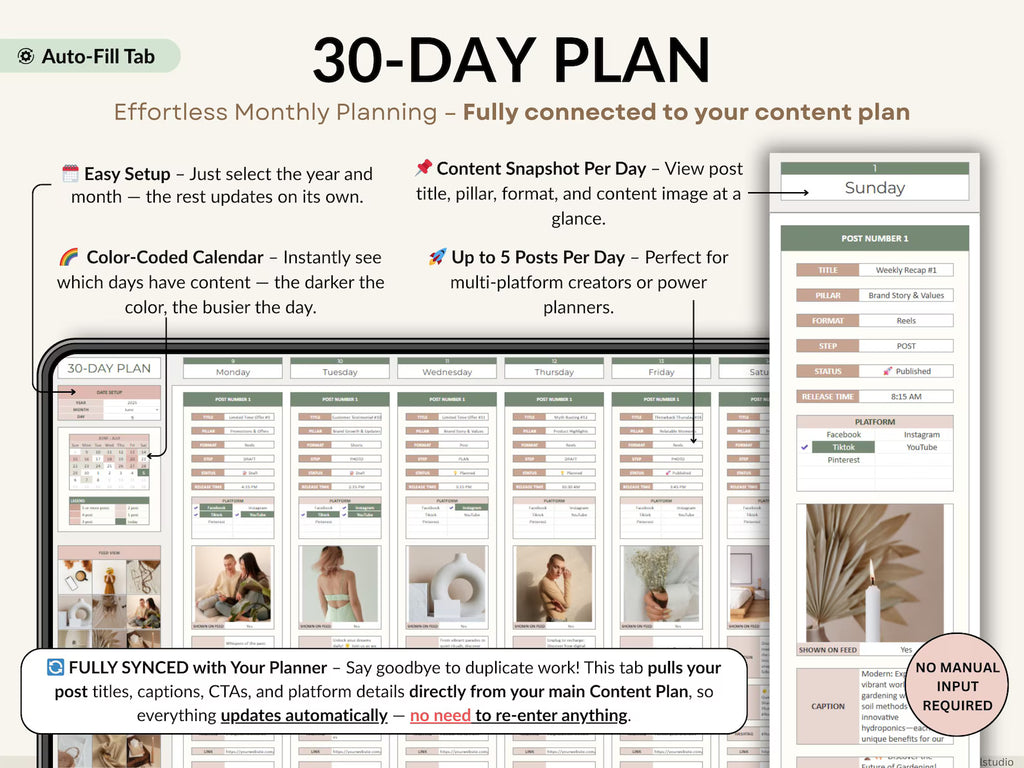 Content Planner Social Media Calendar Spreadsheet Monthly Content Tracker Social Media Posting Instagram TikTok Google Sheets Excel Template
