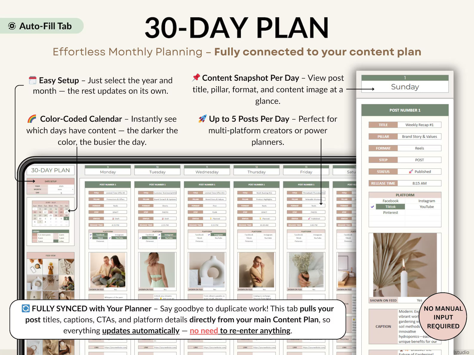 Content Planner Social Media Calendar Spreadsheet Monthly Content Tracker Social Media Posting Instagram TikTok Google Sheets Excel Template