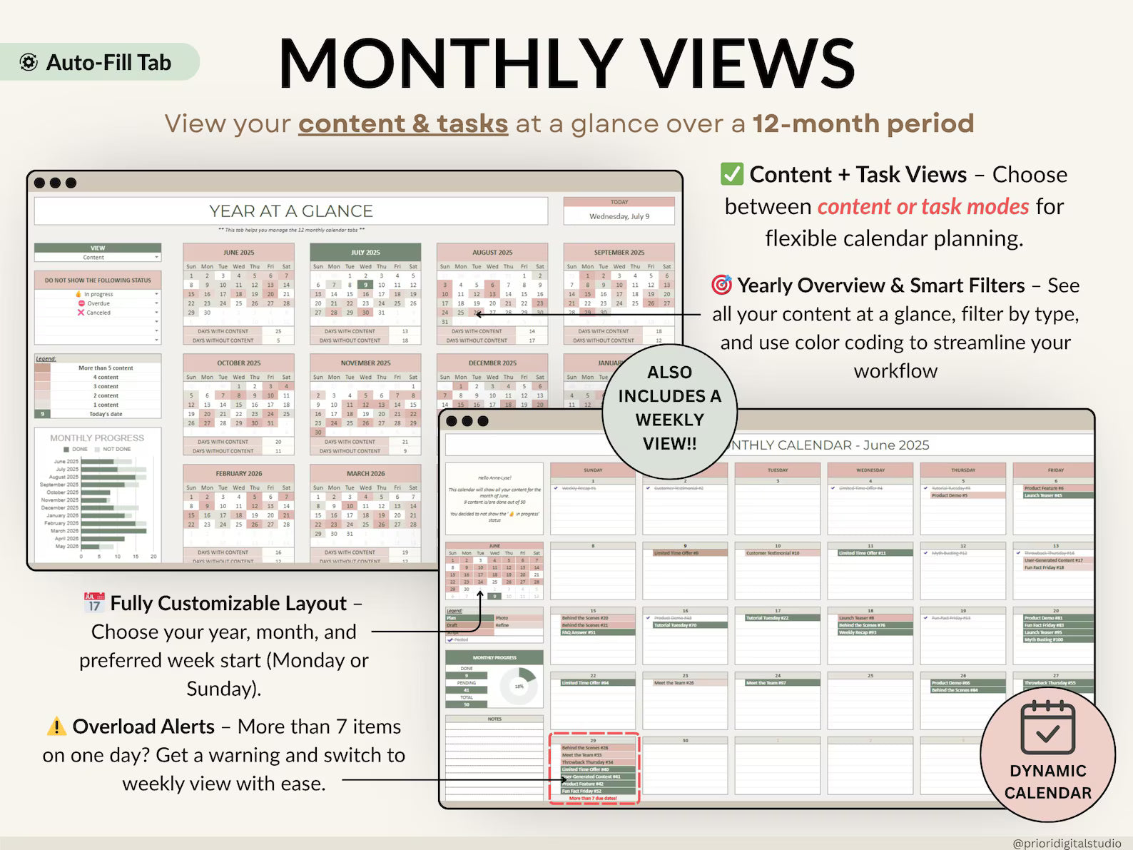 Content Planner Social Media Calendar Spreadsheet Monthly Content Tracker Social Media Posting Instagram TikTok Google Sheets Excel Template